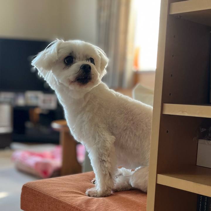 6e28d5cc c465 47b6 9e8f a622c9675f16 1649503038903