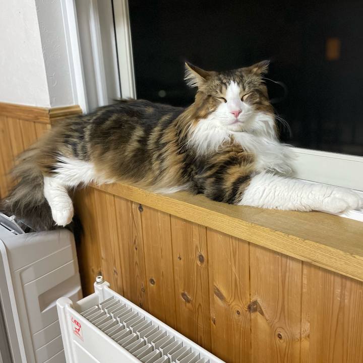 6e28d7ec 0f1f 4880 a23b 14c8f7aa88d9 1649766148732