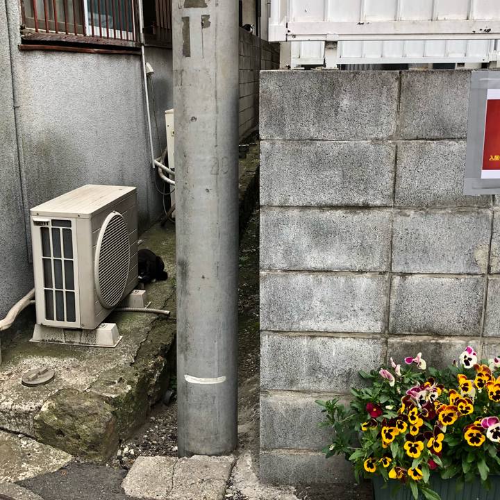 6e28f9f2 f14c 411b 85d9 75cd5680650c 1525314987370