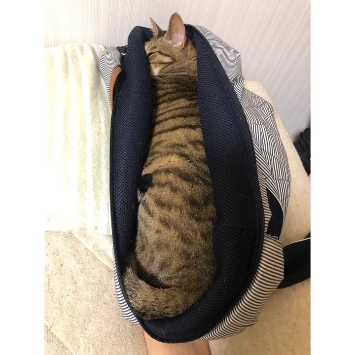 6e290e9f 24fc 4401 9229 601163441ea6 1650142764860