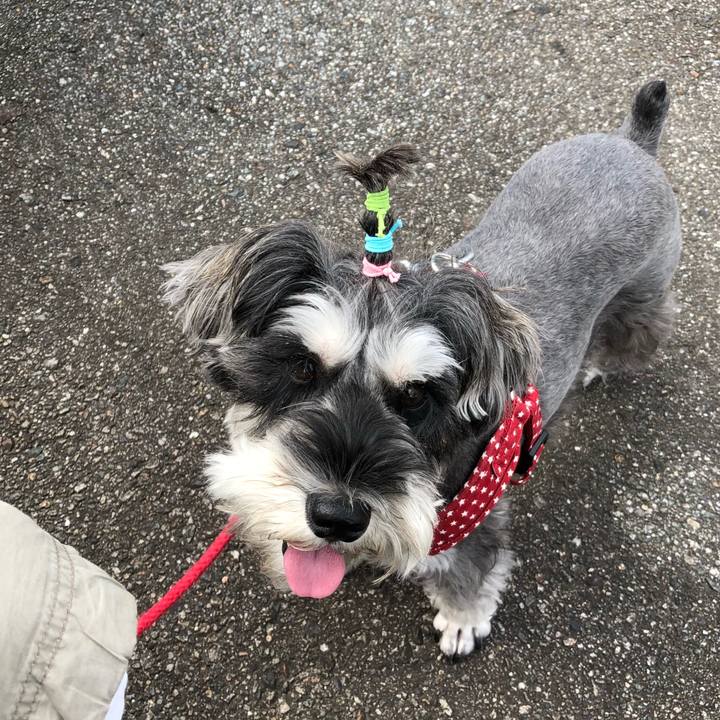 6e293bbf 68fb 4d87 a7fc bf6e3bc271f3 1538976504598