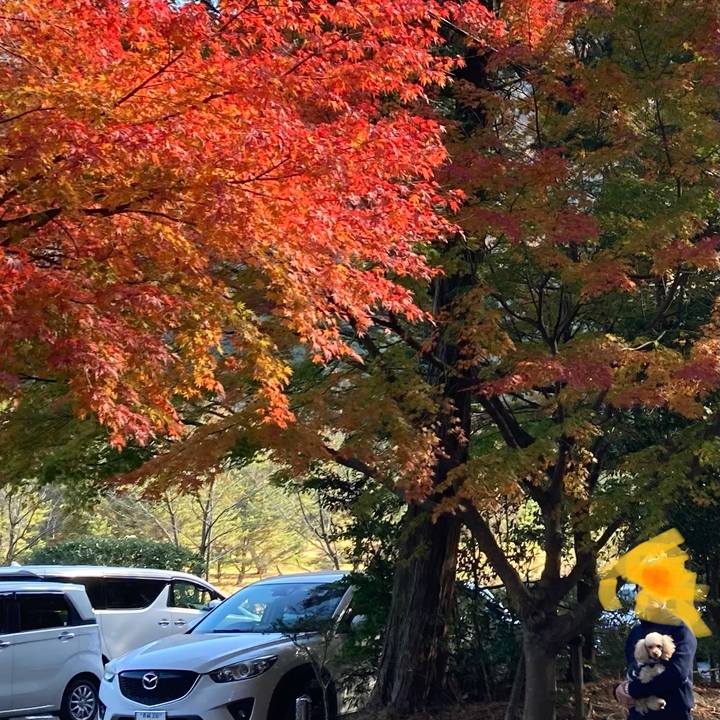 6e295e88 dda1 43b2 8ac7 b8767b48d9e4 1636885436816