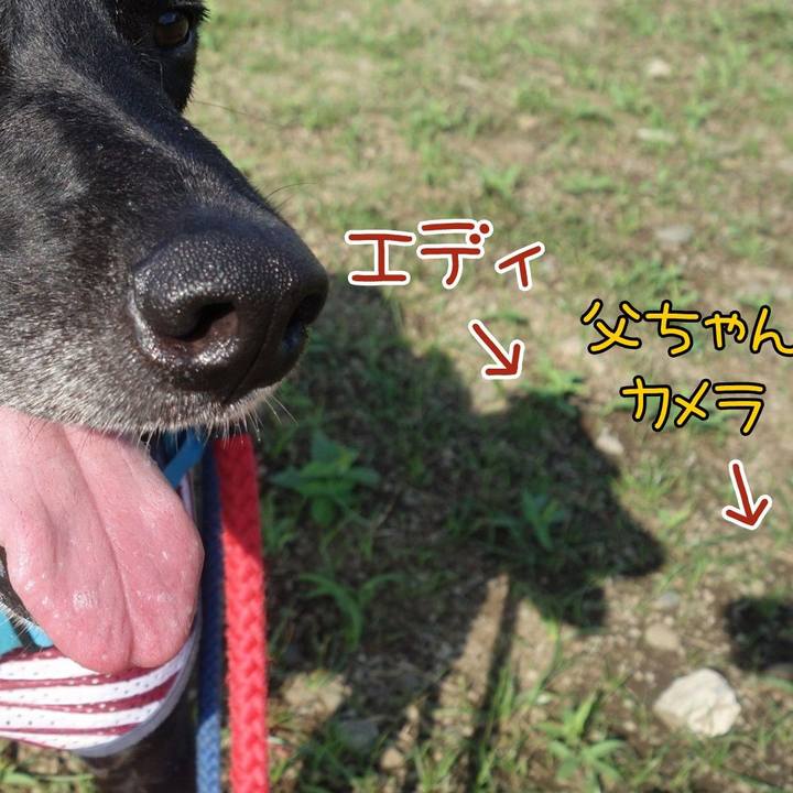 6e295fec fb26 4e21 925a e641200ba38e 1624837791574