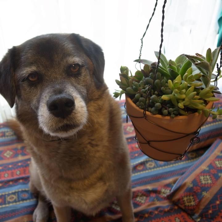 6e297fb5 6266 4c00 804e 09326d79425b 1586429348920