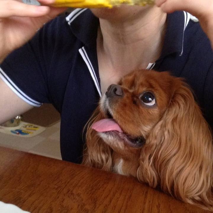 6e2988c0 3ad0 4ef9 ad2c f4473a01d993 1517920029950