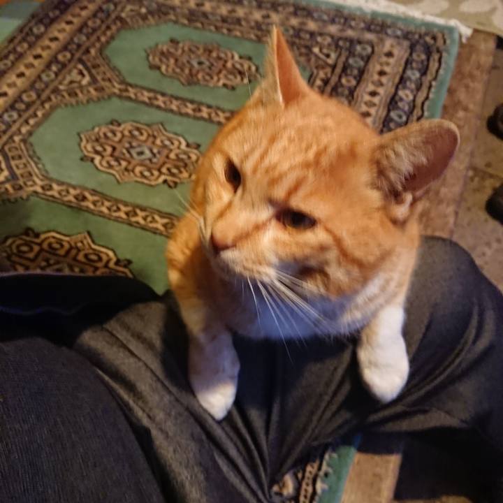 6e299fb8 19a9 4554 ac39 c0556b6c3850 1582621523734