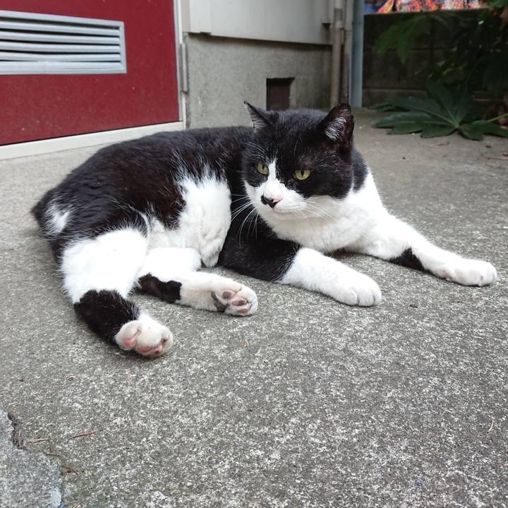 6e29a30d 2f62 4c78 9b43 57a7d96b4d69 1624430257368