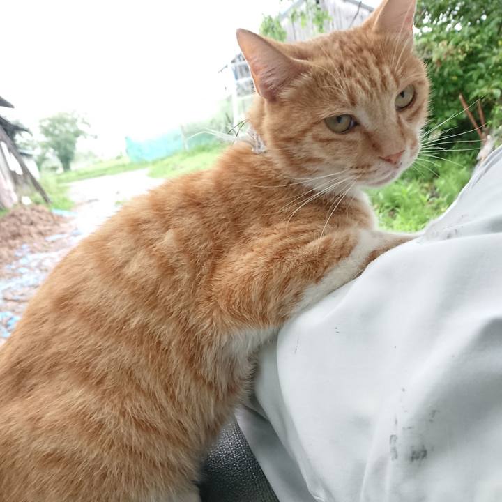 6e2a2cf2 bda2 4173 b953 2ad2599fba39 1594803614476