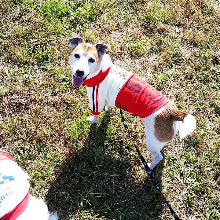 6e2a3da2 96bc 46f7 82c7 7039740b07c7 1541835773337