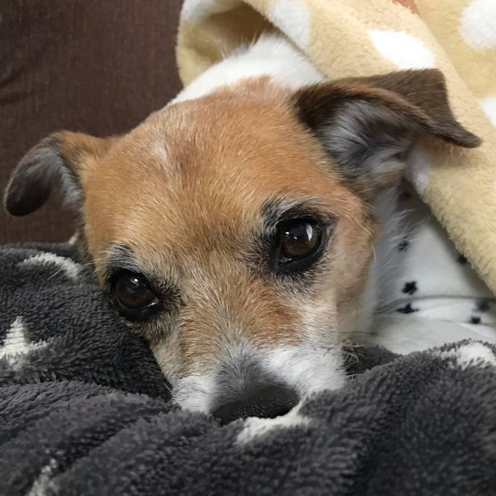 6e2a6132 cbe5 42ce adbd a794634f156c 1550269873433