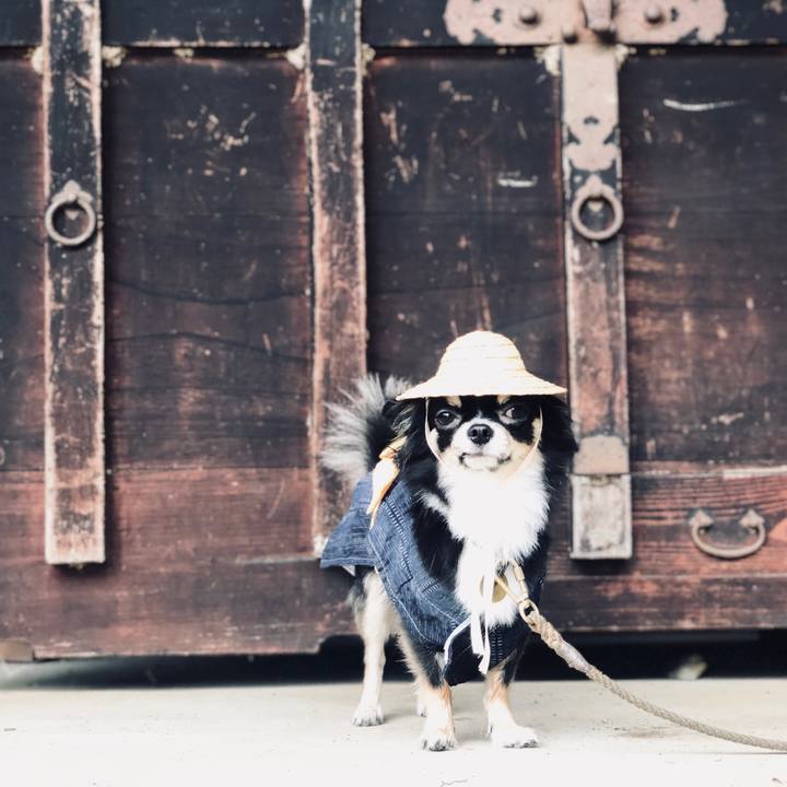 6e2a8d3c 9ee1 4604 a553 6ab8688c11b6 1565927276461