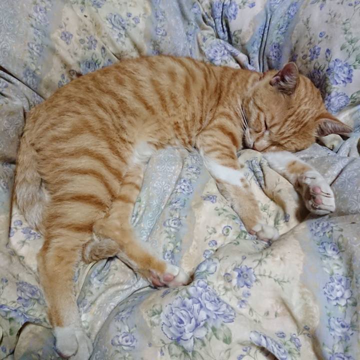 6e2a9e5f 8513 4f1a 8333 92f3d439435c 1563459101767