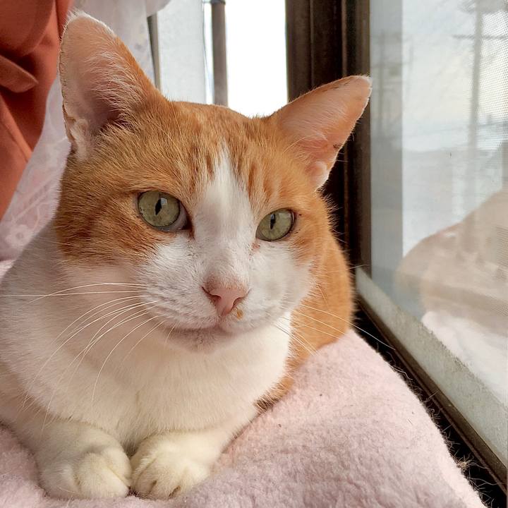 6e2aa0a0 88f1 4560 9ae4 0511cbd4995f 1576132865886