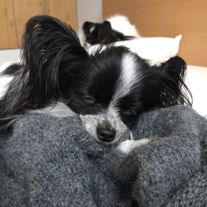 6e2acbb9 6220 47a5 ad6c a4c2b741f5f1 1538050218875