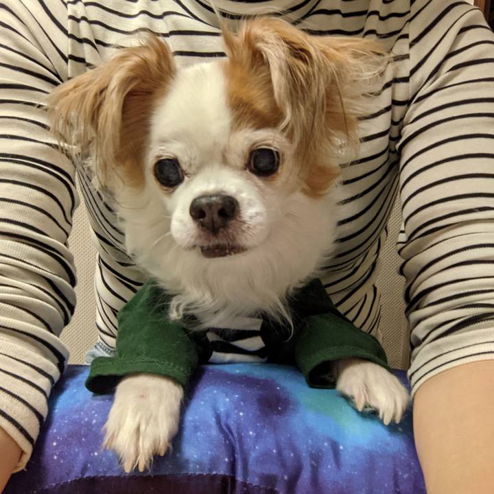 6e2b03d0 da75 4e97 9ebf d647cc14c640 1637207940021