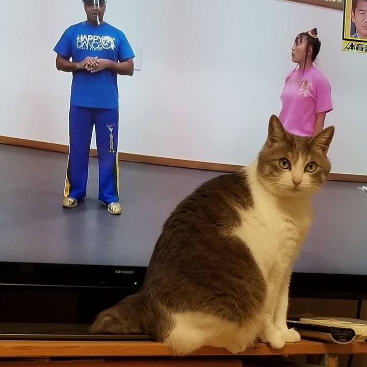 6e2b1071 e1ac 4f9b adb2 6ac78f9c903b 1610456640870