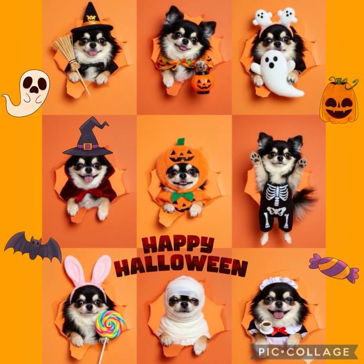 6e2b263f f42a 4809 b2f5 9e7dcc2fe92f 1761867394444