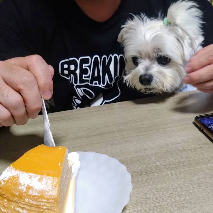 6e2b30b4 1e57 4cda b599 ae4c0173f340 1764586761210