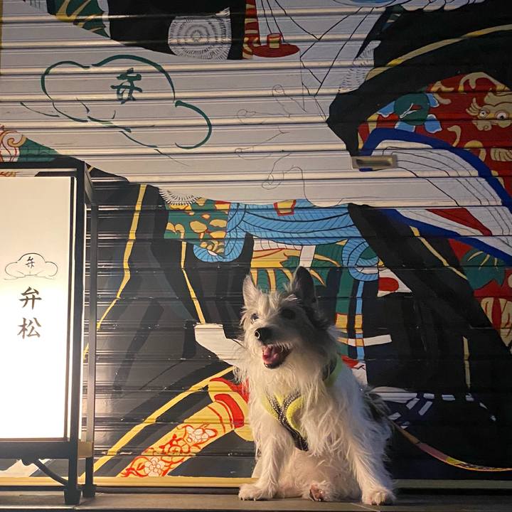 6e2b4862 df74 453e aae6 958c8ed4b655 1626739315854