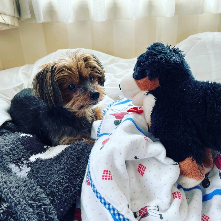 6e2b51d4 87d6 423b bdb2 80cde25dd5be 1697253555597