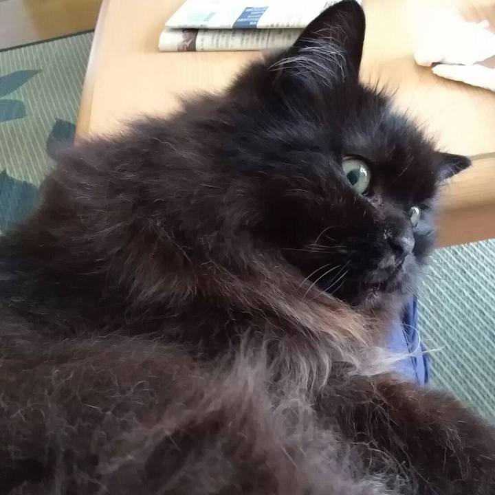 6e2b5348 0df7 45f7 8338 a1e9e57290e1 1531444913924