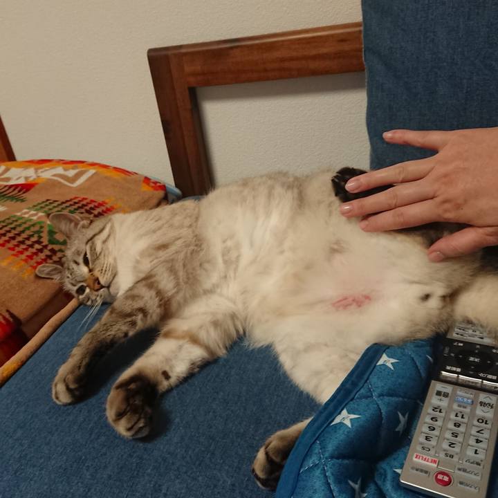 6e2b597c 480b 42ea b89f 4cac4f391a14 1566306677715