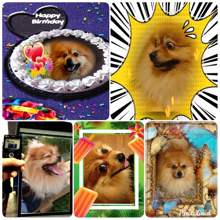 6e2b6254 5e79 427c 8191 0cd340fefeb3 1569069093566