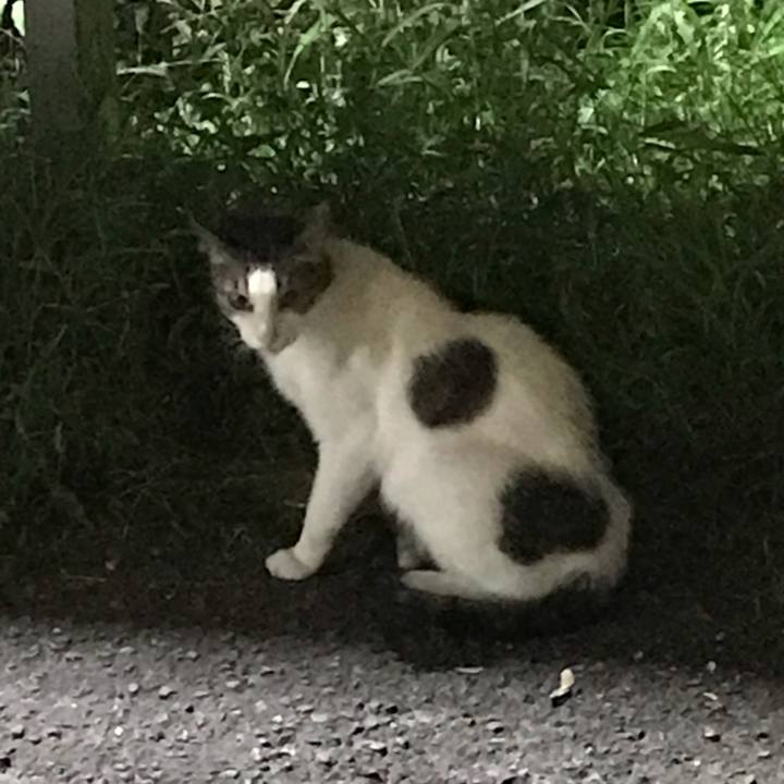 6e2b625f 62d0 4f9e bb74 622b91a691dc 1563710934738