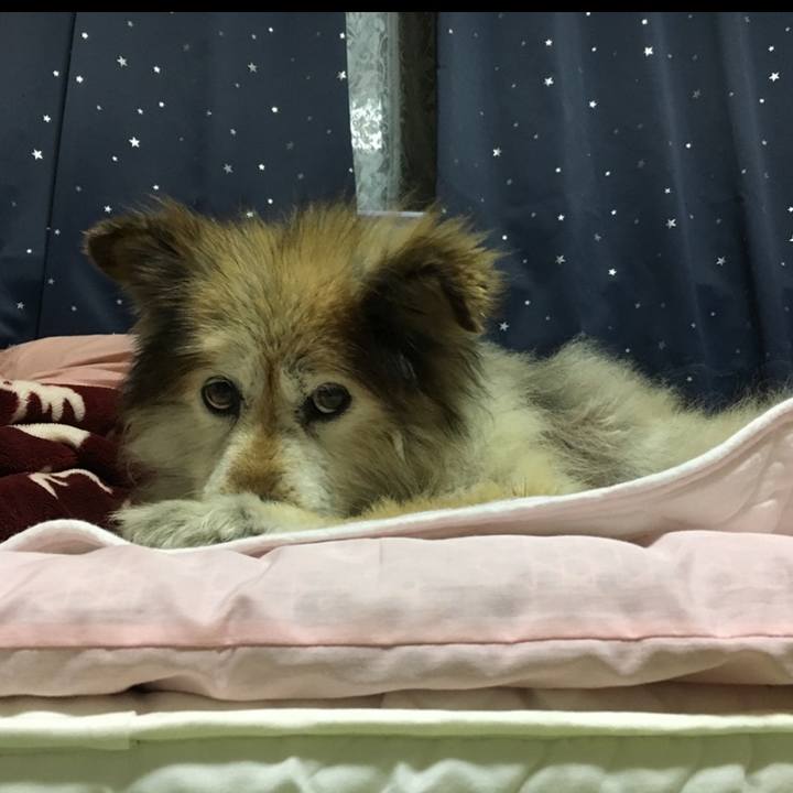 6e2b7500 d500 484c 9e7d 991ed626877b 1570589131556