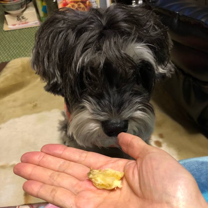 6e2ba297 94ae 40b1 9234 c2679203dff1 1514636616140