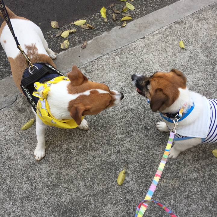 6e2ba464 04be 4a8f bb65 3bbe25b6e096 1524281618550