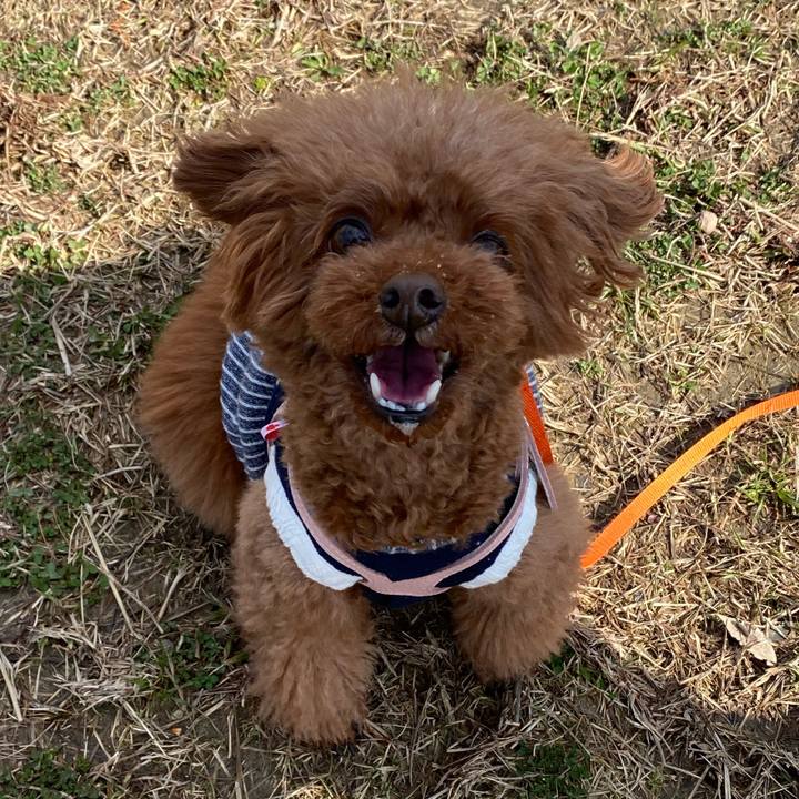 6e2bca65 d702 45b4 8e7f f932b253c4a5 1615895914017