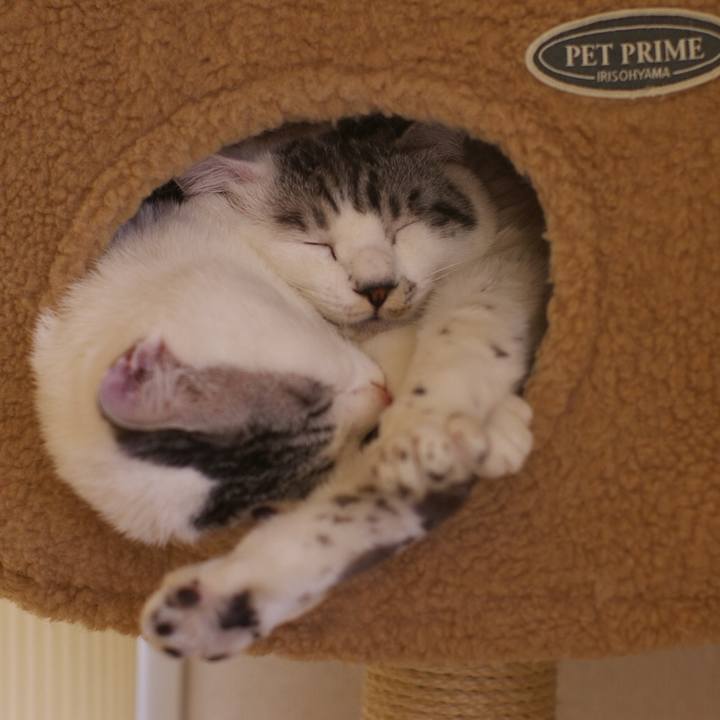 6e2bcaf3 54a7 48d2 bfe7 aeb994a85064 1525262555853