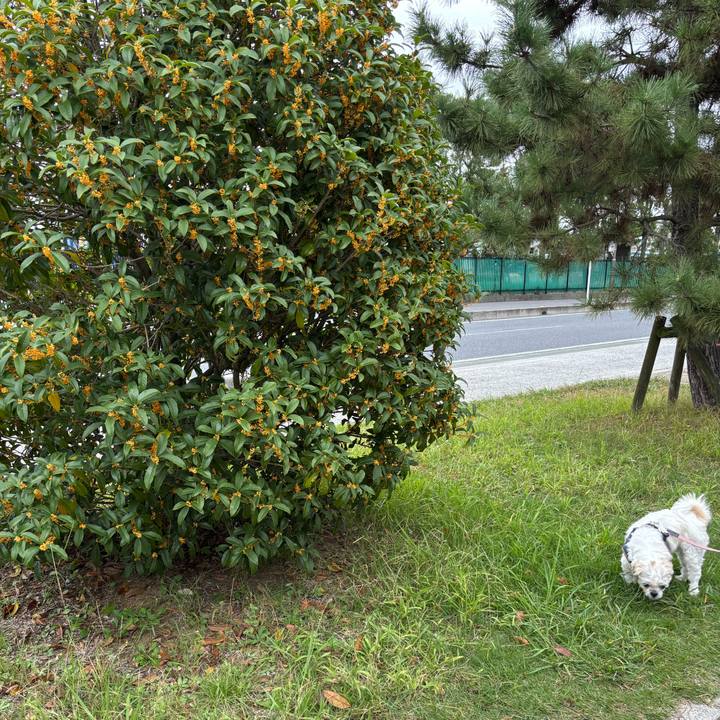 6e2c2154 45c8 4788 bdd1 20c697c8326c 1760910494165