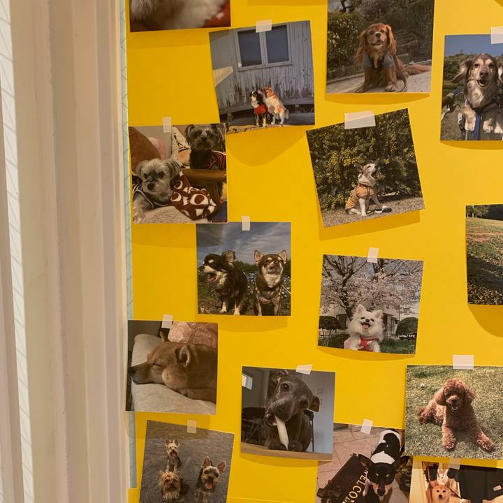 6e2c5c0d 092a 470b 9dea 4e0c46819e1b 1774169537235