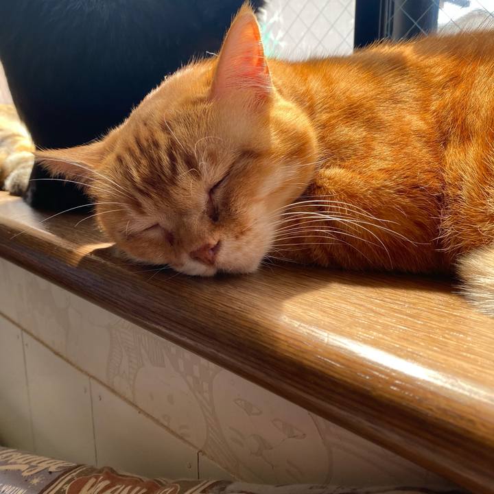 6e2c6dff c3e5 43cb a1f9 6332e907f9b8 1620003709841