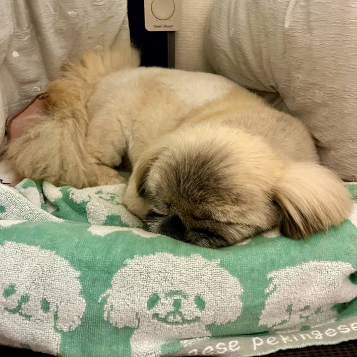 6e2c73b7 4d88 4f14 82bb b60f5216287a 1776728001301