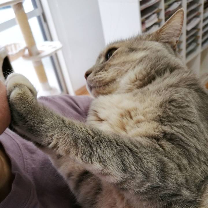 6e2c9865 0095 4b13 8748 a3e433fd3346 1624004025026