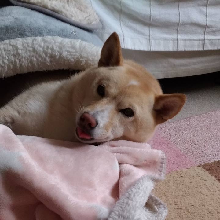 6e2cb609 7737 4009 bc81 af71f0c7bcbc 1606440040705