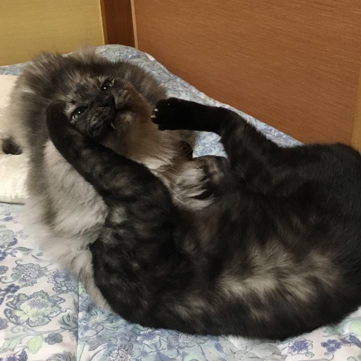 6e2ccc19 80a9 4972 b5b2 4d899a4868e5 1556847180812