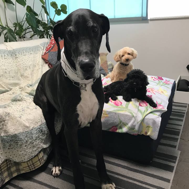 6e2cd257 8936 4129 860b c8b24cc780e7 1532557884603