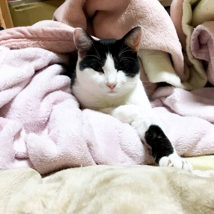 6e2d08d5 7005 4a17 b503 931734258183 1511099846672