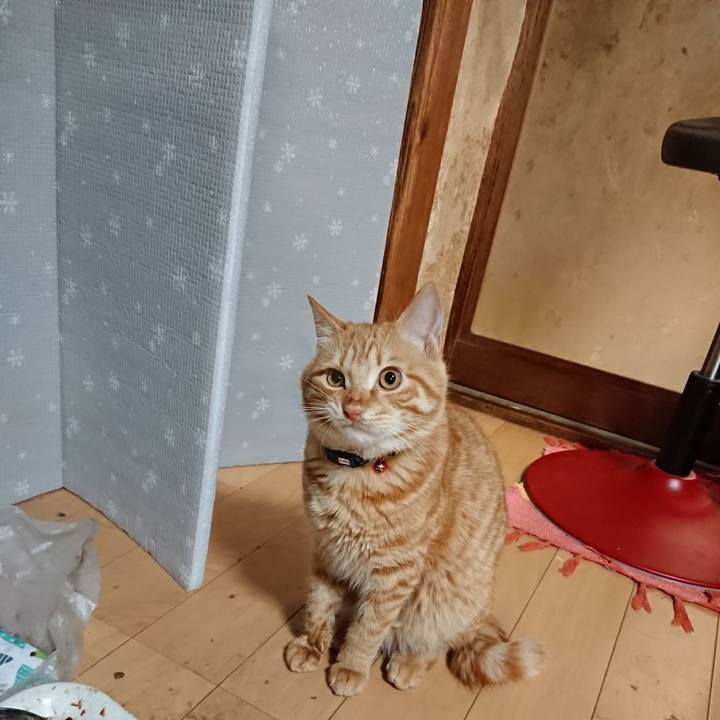 6e2d2ce6 f858 440e a921 ff86c47e32a6 1641208593704