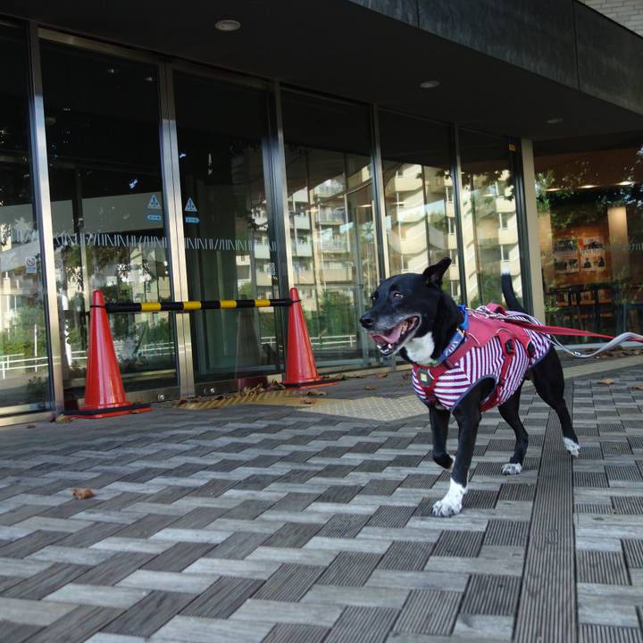 6e2d4728 5381 4117 a207 0ac8d727bd09 1689812871521