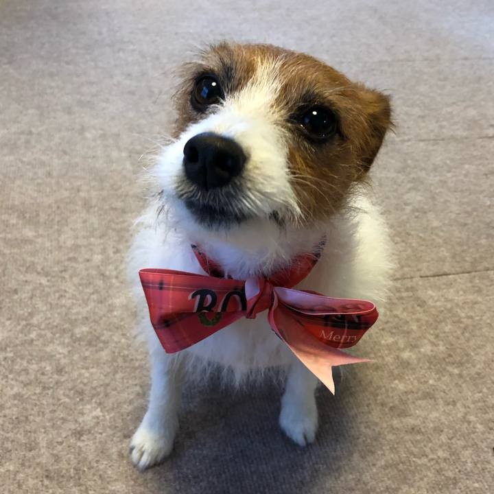 6e2d9796 a342 43ca b03e 8b341bd40ba2 1544451381962