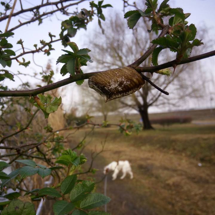 6e2db332 ebb7 45c7 831f 810fb70a8151 1518309906779