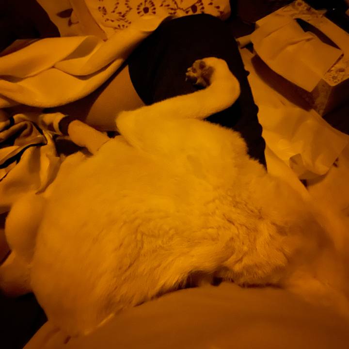 6e2dce49 f9b0 435e 9fb8 78f1030a7565 1681068026328