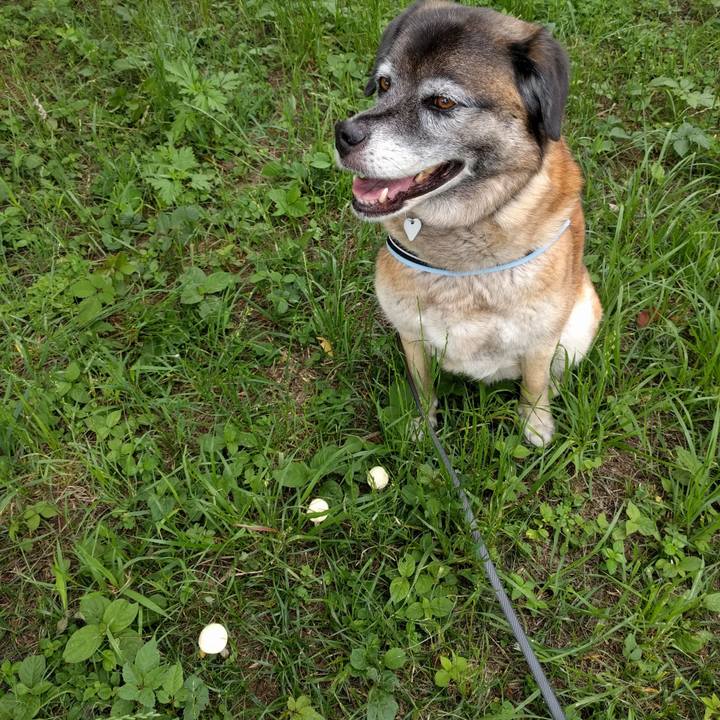 6e2dd561 3521 4f56 a7ee 467c03046629 1728692681854