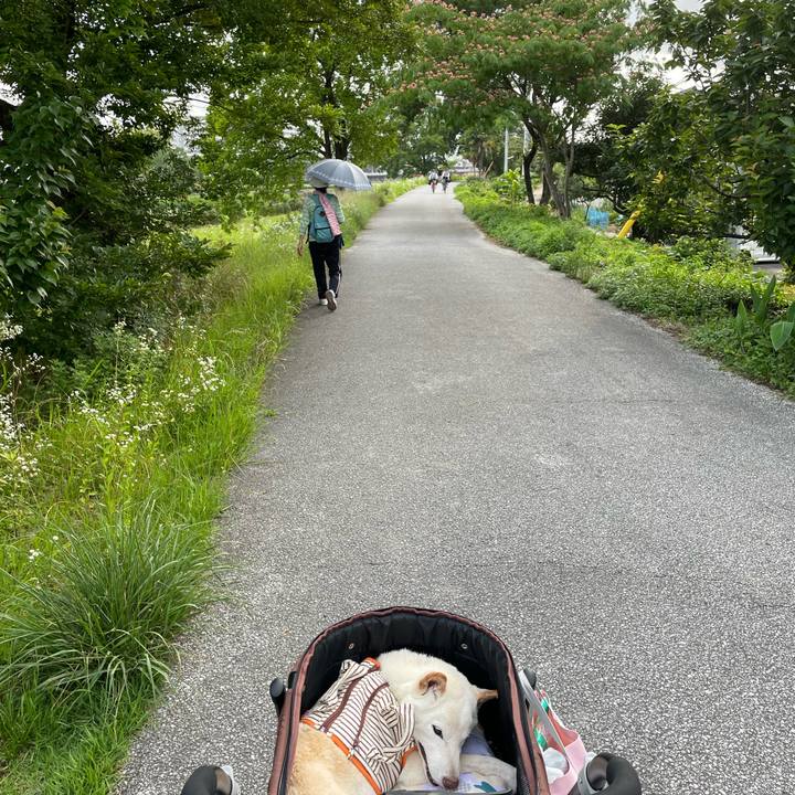 6e2df7f0 e649 40e3 9cb6 6d91f11a2dd4 1656060035531