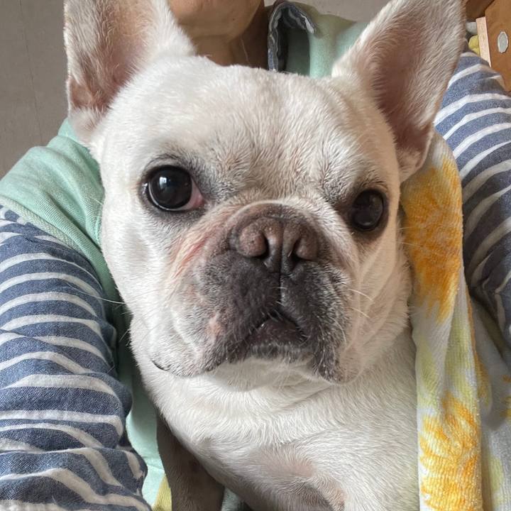 6e2e4548 c97e 4dd2 8e6b 31194089149a 1748218469817